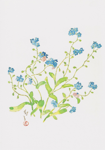 深沢紅子野の花美術館|長野県博物館協議会公式サイト | 信州 Museum Guide